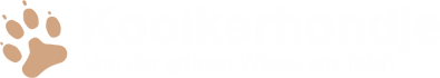 Kooikerhondjezucht Viktoria Bail | Von der grünen Wiese am Teich | 37154 Northeim-Sudheim (Südniedersachsen)